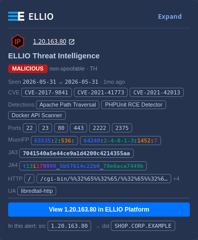 Enrich IP insight card: classification, CVEs, detections, ports, fingerprints